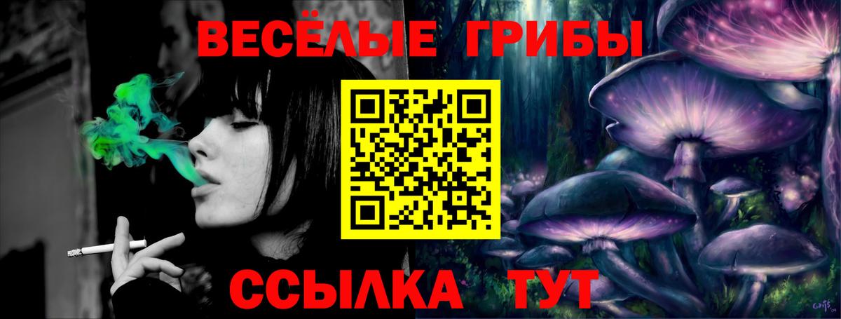 Ипатово  Псилоцибиновые грибы Magic Shrooms  Вход с VPN  Псилоцибиновые грибы Magic Shrooms 